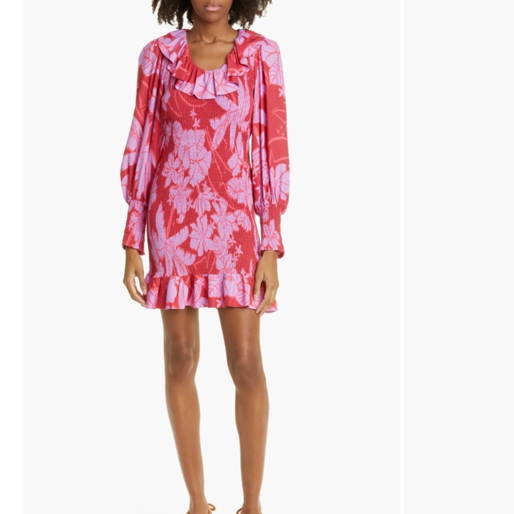 NWT $230 FARM RIO Living Nature Smocked Long Sleeve Dress in size Large!